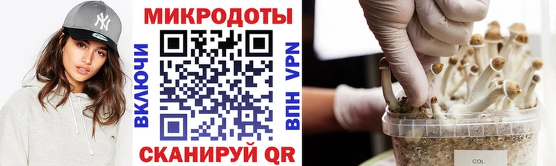 купить  цена  Ленинск-Кузнецкий  Галлюциногенные грибы прущие грибы 